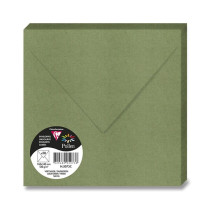 Barevná obálka Clairefontaine 165 × 165 mm, olizová, 20 ks tm. zelená, 165 × 165 mm